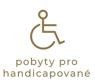 pobyty pro handicapované